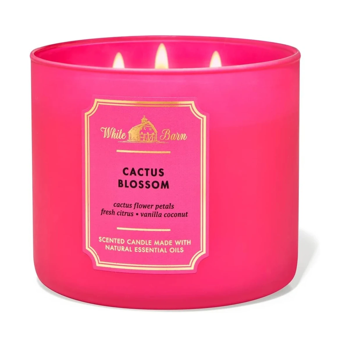 Bath & Body Works Cactus Blossom 3-Wick Candle